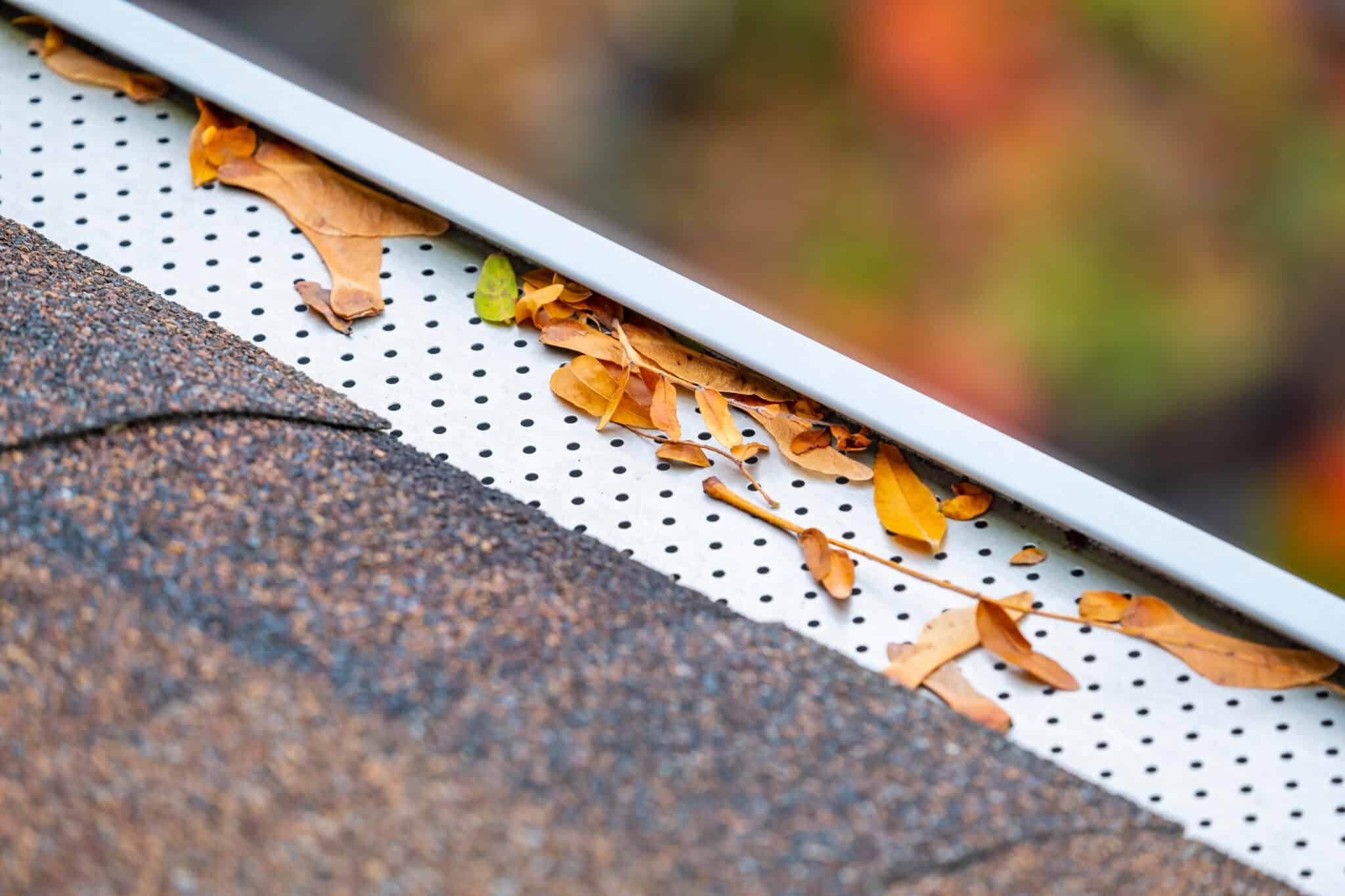 best leaf guard for gutters Mooresville, NJ